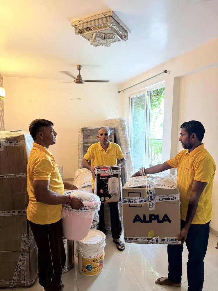 Team with packed boxes